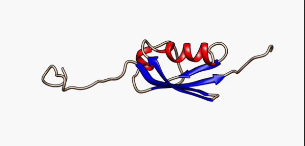 600px-1a5r_sumo-1_protein.gif